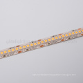 3years Warranty LED Light Strip SMD3528 240LED DC24 Single Color Strip for Lighting Decoration